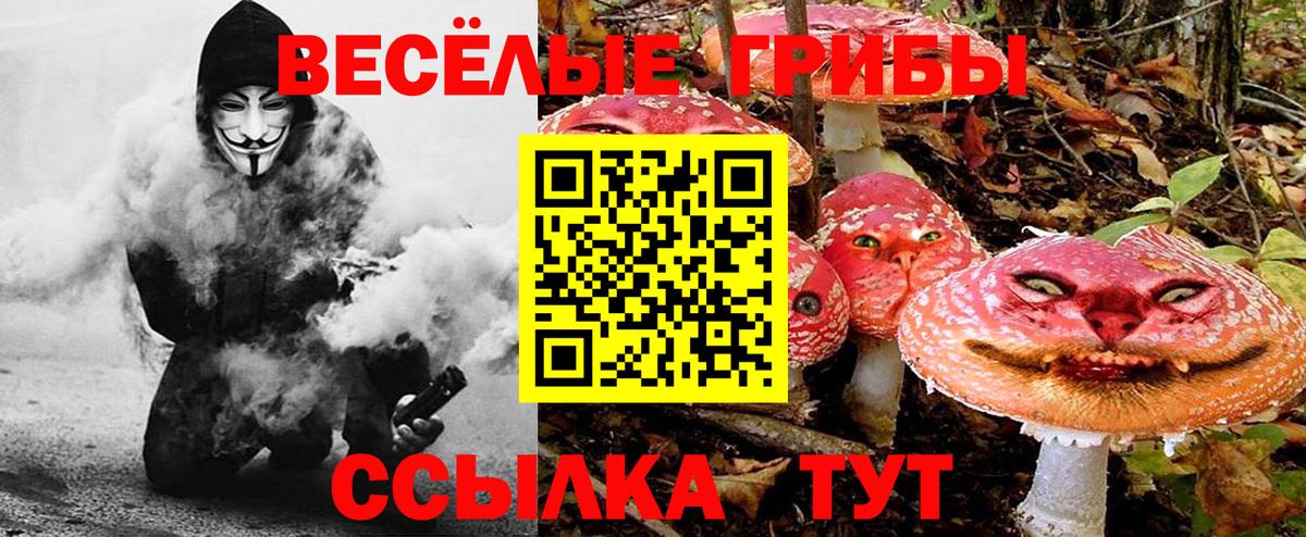 Галлюциногенные грибы MAGIC MUSHROOMS  Вход с VPN  Реж 