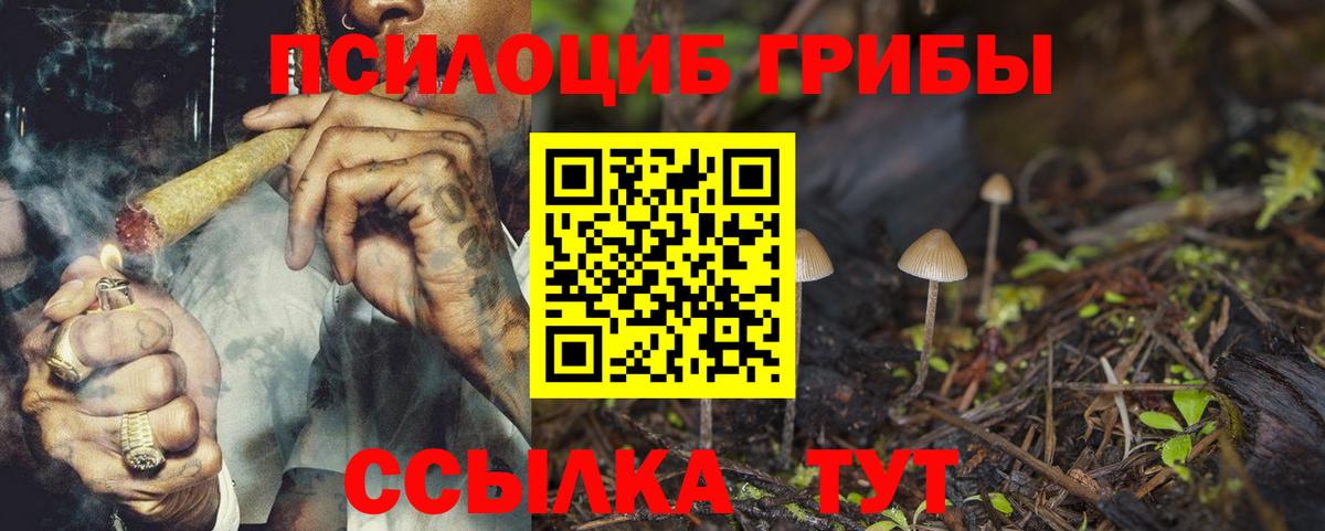 Псилоцибиновые грибы мухоморы Реж